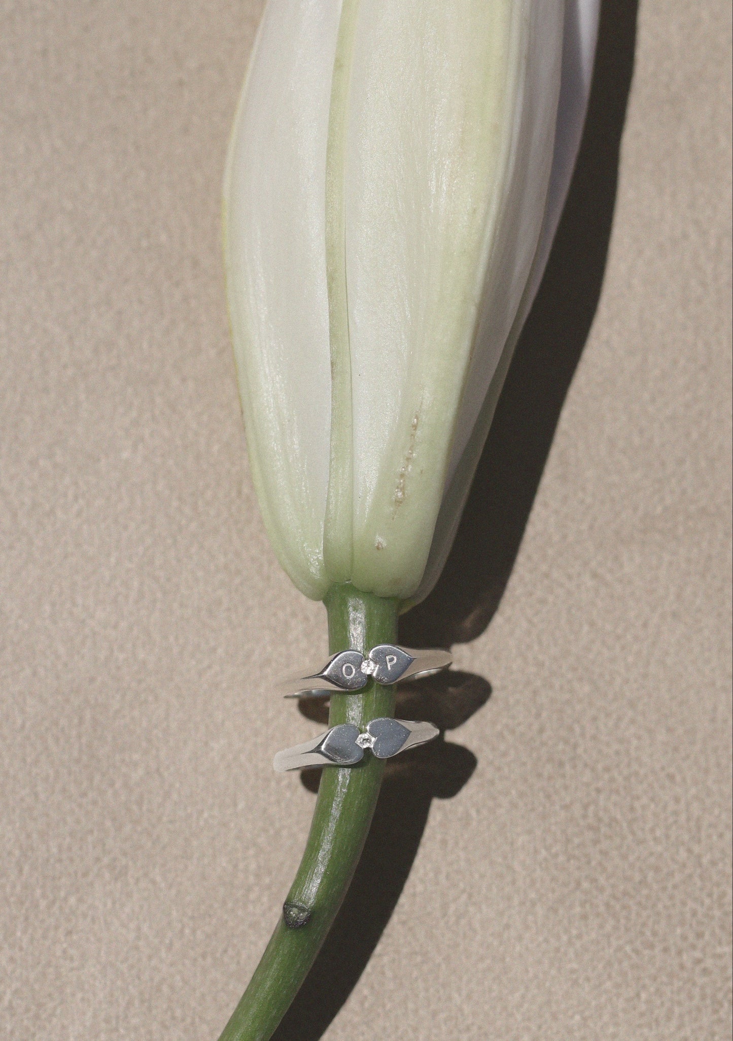 Heart Connection Signet Ring - Silver