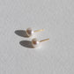 Mara Keshi Pearl Studs - Gold