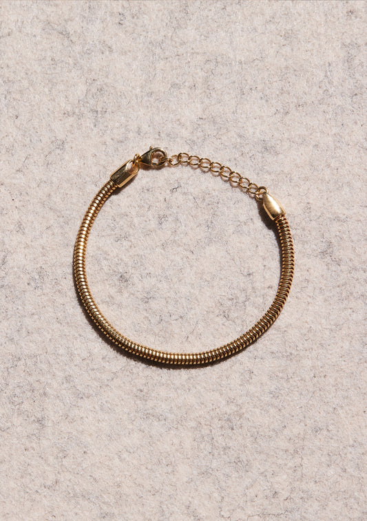 Oslo Round Snake Chain Bracelet - Gold