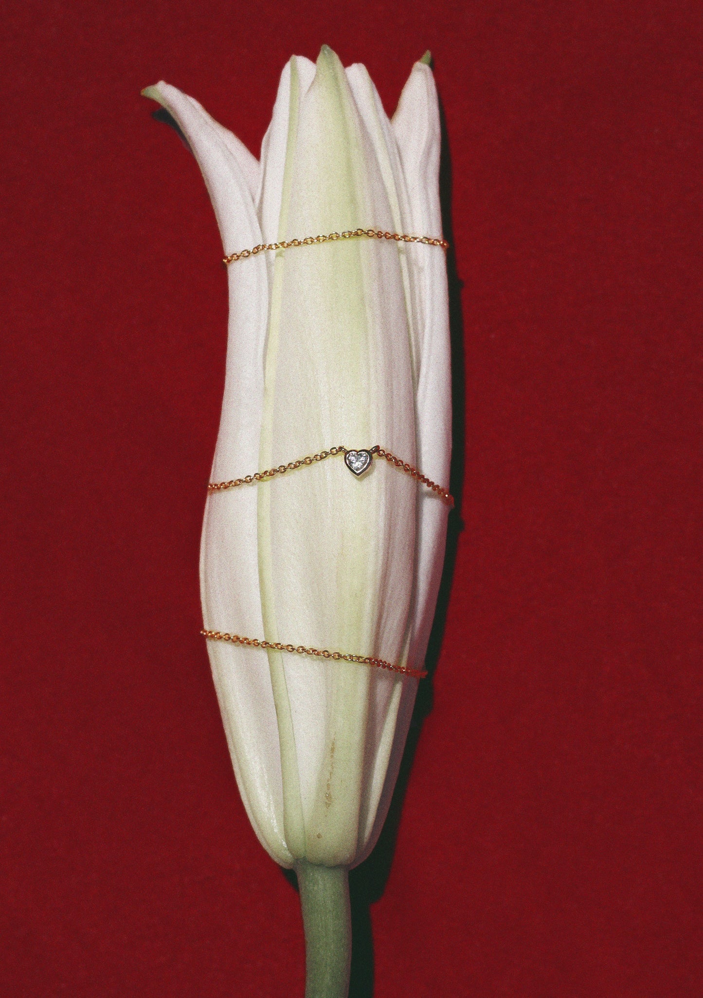 True Love Necklace - Gold