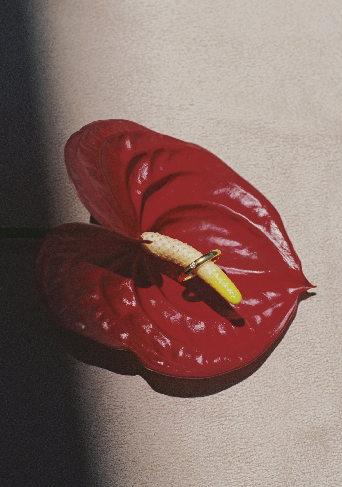 True Love Ring - Gold